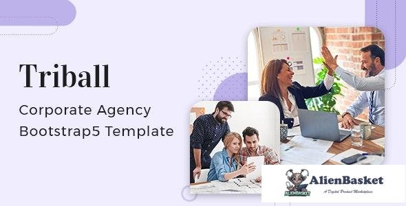 26380 Triball v1.0 - Corporate Agency Bootstrap 5 Template 