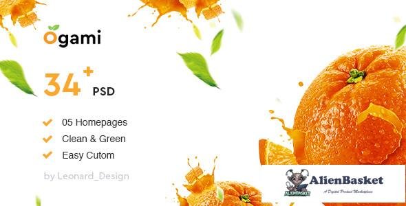 12705 Ogami - Organic Store & Bakery PSD Templates 