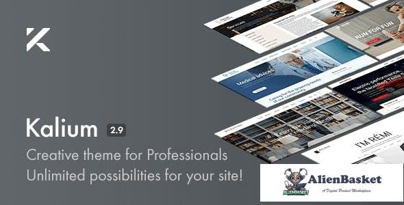 14956 Kalium v2.9 - Creative Theme for Professionals 