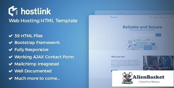 28675 Hostlink v1.0 - Web Hosting HTML Template 