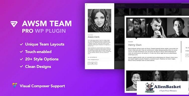 73198  The Team Pro v1.1.4 - Team Showcase WordPress Plugin