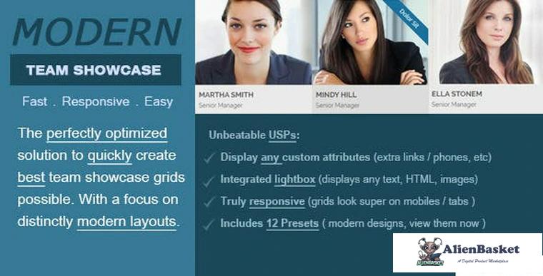 77090  Modern Team Showcase v2.5.0 - WordPress Plugin