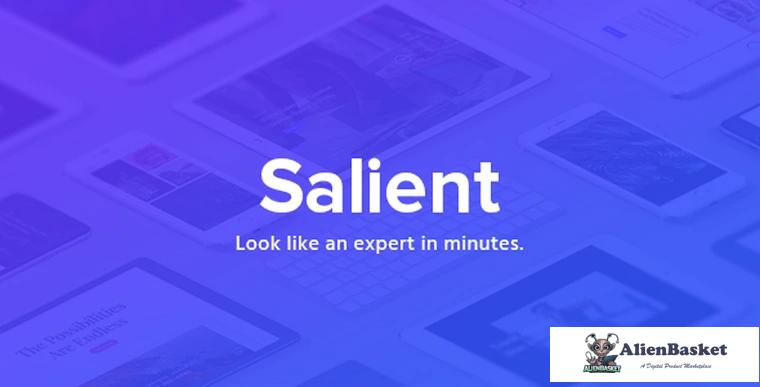 76169  Salient v10.5.1 - Responsive Multi-Purpose Theme