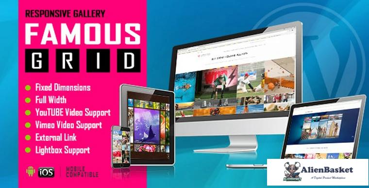 71625  Famous v1.0.1 - Responsive Image And Video Grid