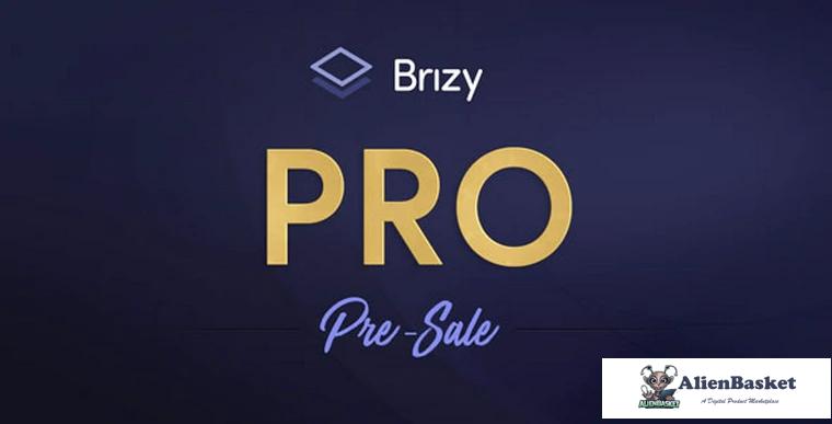 74729  Brizy Pro v0.0.19 - WordPress Builder Plugin