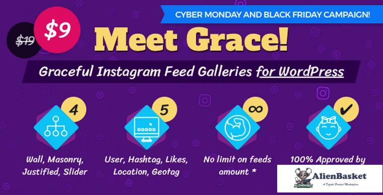 69111  Instagram Feed Gallery - Grace for WordPress v1.1.3