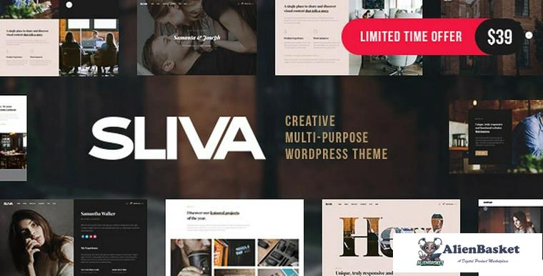 73319  Sliva v1.0 - Responsive Multi-Purpose Theme