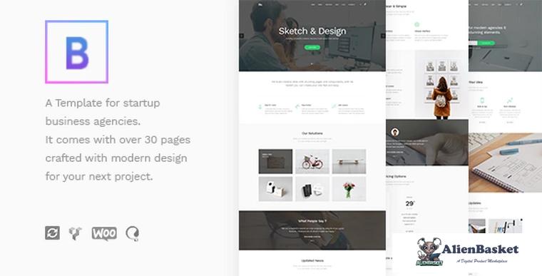 76738  BoTheme v1.2 - Startup Business WordPress Theme