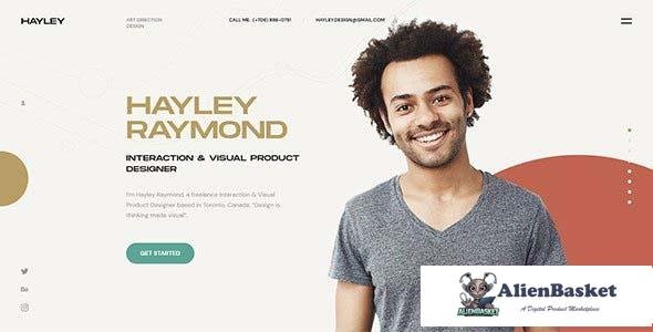 110041  Hayley v1.1 - Personal CV/Resume WordPress Theme 