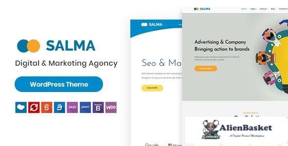 95770  Salma v1.0.0 - SEO Marketing WordPress Theme 