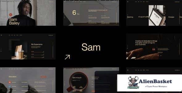 97469  Sam Bailey v1.0 - Personal CV/Resume WordPress Theme 