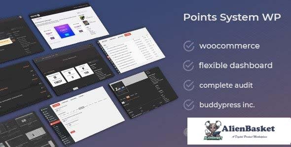 97941  WooCommerce Easy Point System Packages DZS v1.0 