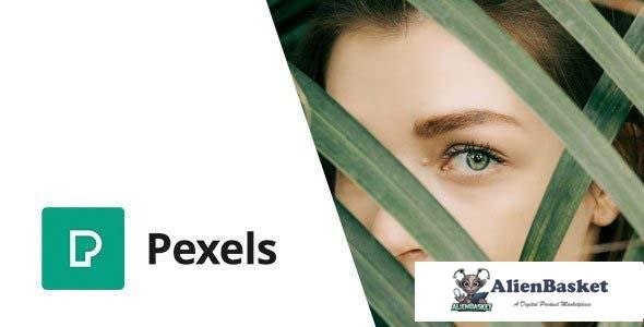 98438  Pexels v1.0 - Import Free Stock Images into WordPress 