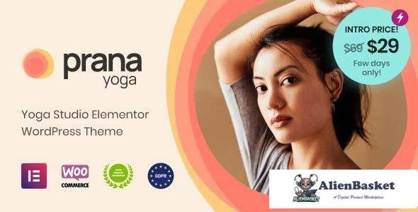 112460  Prana Yoga v1.1.4 - Theme for Elementor 