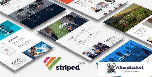 100003  Striped v2.5 - Multipurpose Business and Corporate Theme 