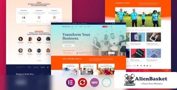 100059  MarLab v1.0.2 – Digital Solutions WordPress Theme 
