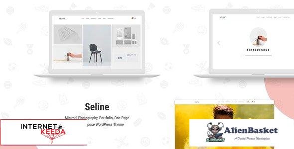 100736  Seline v1.1.4 - Creative Photography & Portfolio WordPress Theme 