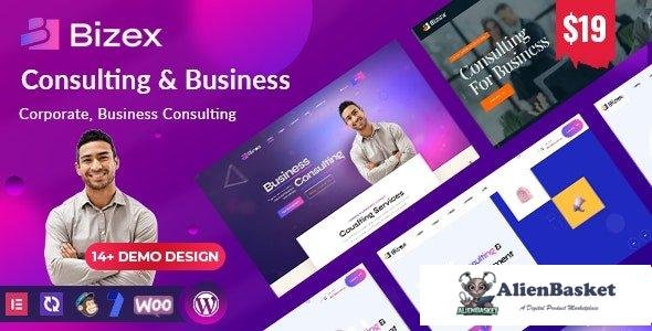 106660  Bizex v1.0.4 - Business Consulting 