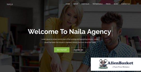 107203  Naila v1.0 - One Page MultiPurpose WordPress Theme 