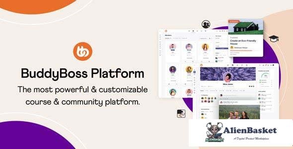 107846  BuddyBoss Platform Pro + Theme + App v2.3.7.0 