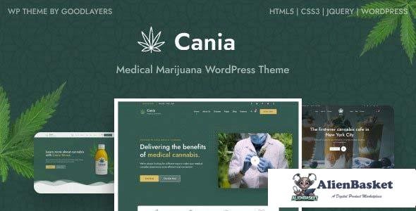 108105  Cania v1.0.3 - Marijuana Medical WordPress 