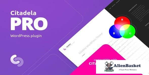 113205  AIT Citadela Pro v5.9.2 